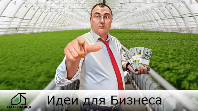 Выращивание зелени в теплице